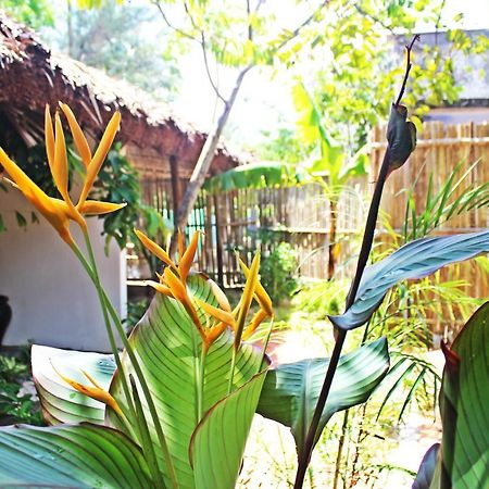 An Bang Purple Homestay Hoi An Dış mekan fotoğraf
