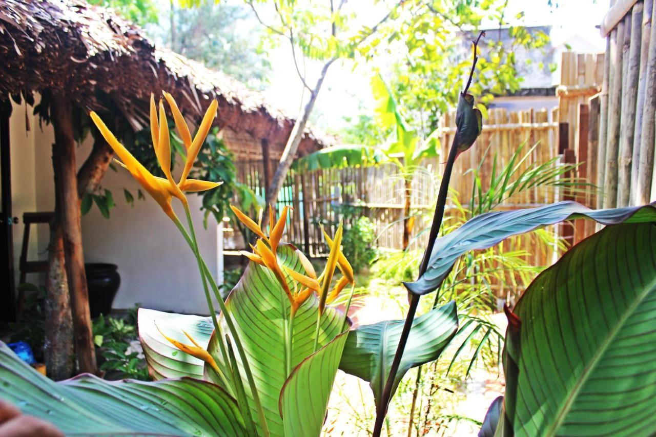 An Bang Purple Homestay Hoi An Dış mekan fotoğraf