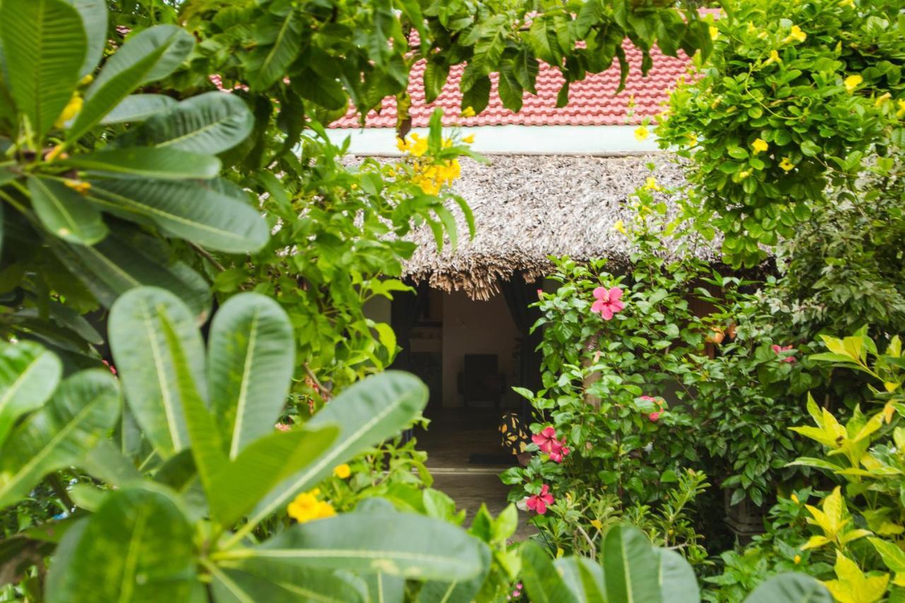An Bang Purple Homestay Hoi An Dış mekan fotoğraf